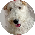 Віктор profile picture